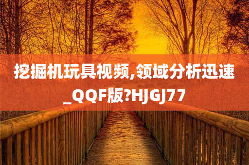 挖掘机玩具视频,领域分析迅速_QQF版?HJGJ77