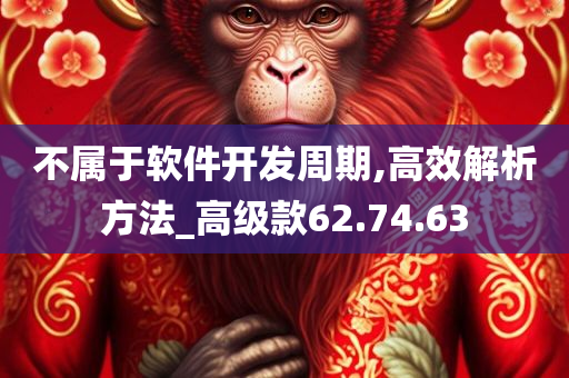 不属于软件开发周期,高效解析方法_高级款62.74.63