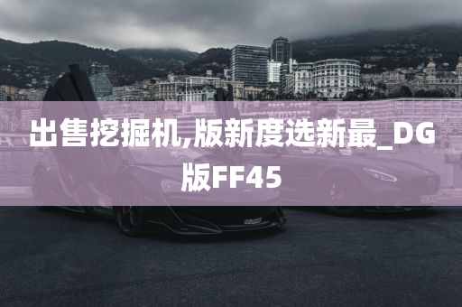 出售挖掘机,版新度选新最_DG版FF45