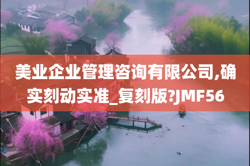 美业企业管理咨询有限公司,确实刻动实准_复刻版?JMF56