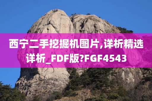 西宁二手挖掘机图片,详析精选详析_FDF版?FGF4543