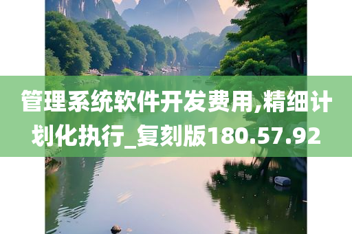 管理系统软件开发费用,精细计划化执行_复刻版180.57.92