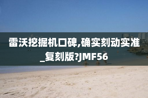 雷沃挖掘机口碑,确实刻动实准_复刻版?JMF56