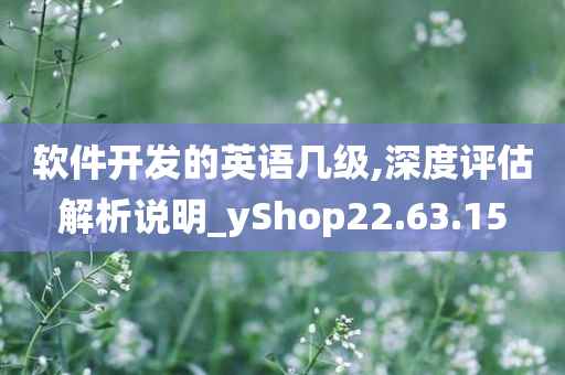 软件开发的英语几级,深度评估解析说明_yShop22.63.15