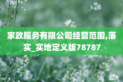 家政服务有限公司经营范围,落实_实地定义版78787