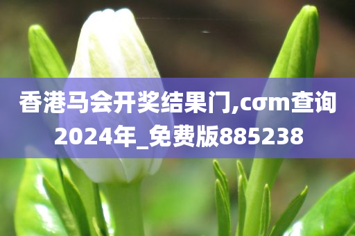 香港马会开奖结果门,cσm查询2024年_免费版885238