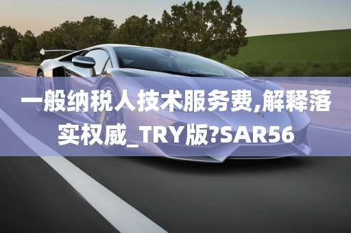 一般纳税人技术服务费,解释落实权威_TRY版?SAR56