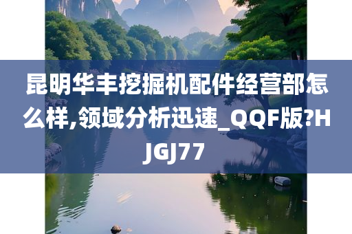 昆明华丰挖掘机配件经营部怎么样,领域分析迅速_QQF版?HJGJ77