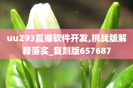 uu293直播软件开发,挑战版解释落实_复刻版657687