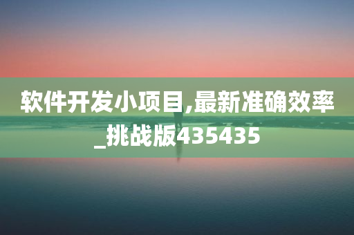 软件开发小项目,最新准确效率_挑战版435435