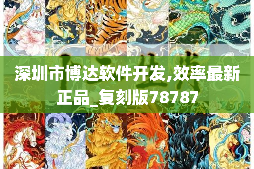 深圳市博达软件开发,效率最新正品_复刻版78787