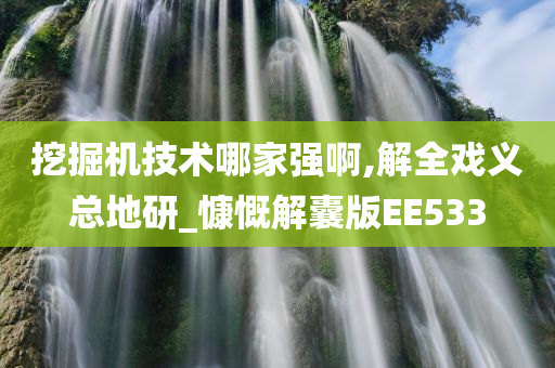 挖掘机技术哪家强啊,解全戏义总地研_慷慨解囊版EE533