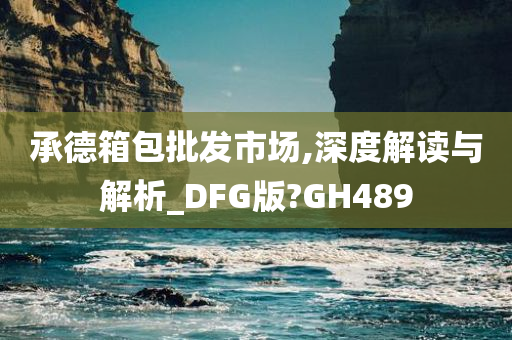 承德箱包批发市场,深度解读与解析_DFG版?GH489