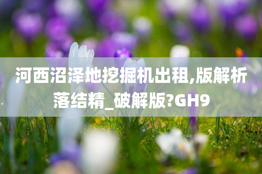 河西沼泽地挖掘机出租,版解析落结精_破解版?GH9