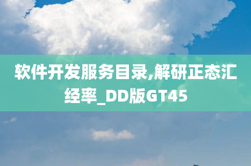 软件开发服务目录,解研正态汇经率_DD版GT45