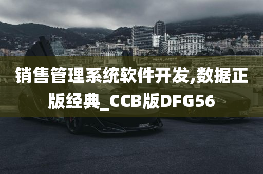 销售管理系统软件开发,数据正版经典_CCB版DFG56