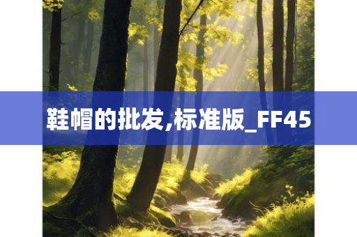 鞋帽的批发,标准版_FF45