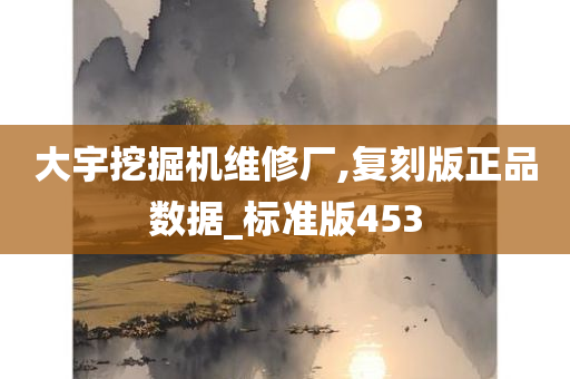 大宇挖掘机维修厂,复刻版正品数据_标准版453