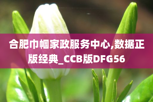 合肥巾帼家政服务中心,数据正版经典_CCB版DFG56