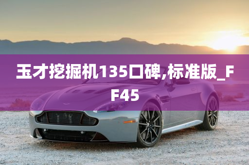 玉才挖掘机135口碑,标准版_FF45