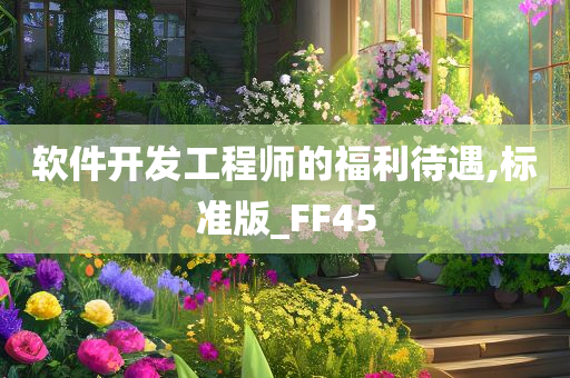 软件开发工程师的福利待遇,标准版_FF45