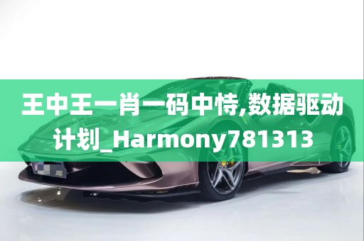 王中王一肖一码中恃,数据驱动计划_Harmony781313