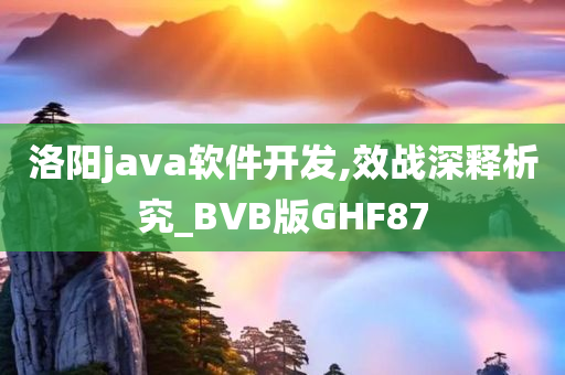 洛阳java软件开发,效战深释析究_BVB版GHF87