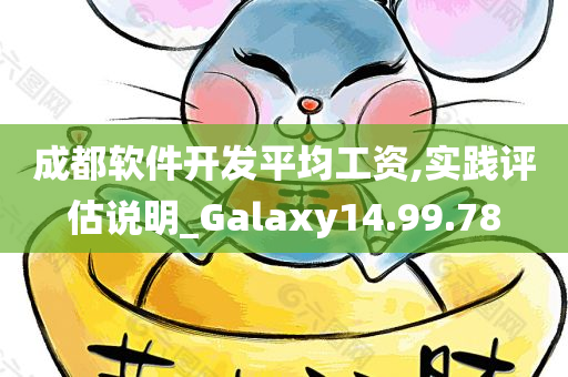 成都软件开发平均工资,实践评估说明_Galaxy14.99.78