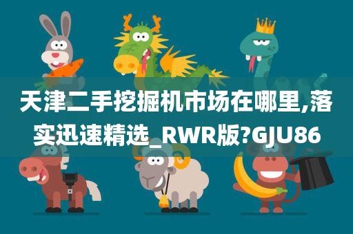 天津二手挖掘机市场在哪里,落实迅速精选_RWR版?GJU86