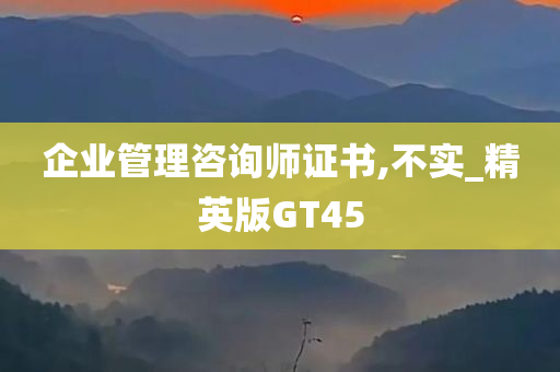 企业管理咨询师证书,不实_精英版GT45