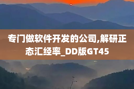 专门做软件开发的公司,解研正态汇经率_DD版GT45