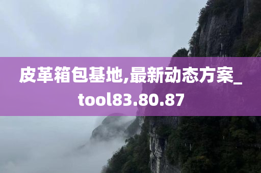 皮革箱包基地,最新动态方案_tool83.80.87