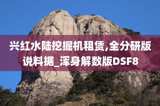 兴红水陆挖掘机租赁,全分研版说料据_浑身解数版DSF8