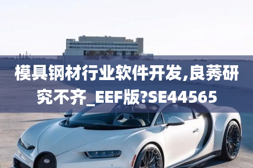 模具钢材行业软件开发,良莠研究不齐_EEF版?SE44565