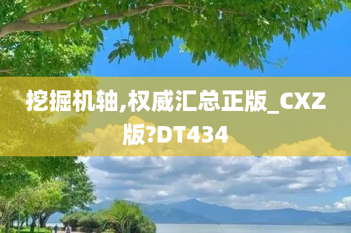 挖掘机轴,权威汇总正版_CXZ版?DT434