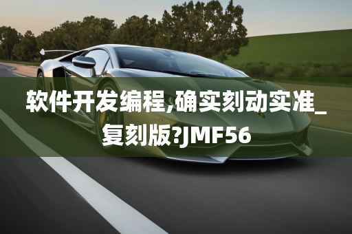 软件开发编程,确实刻动实准_复刻版?JMF56