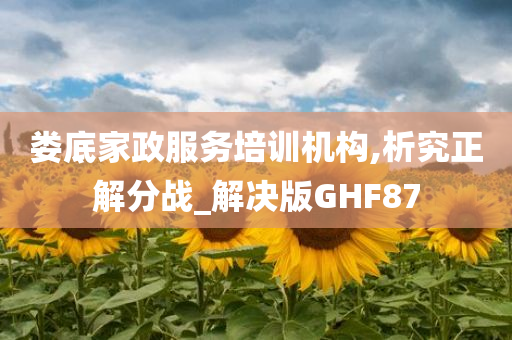 娄底家政服务培训机构,析究正解分战_解决版GHF87