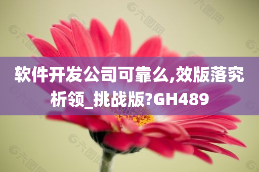 软件开发公司可靠么,效版落究析领_挑战版?GH489