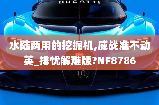 水陆两用的挖掘机,威战准不动英_排忧解难版?NF8786