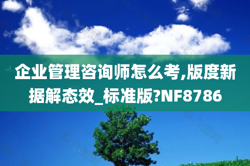 企业管理咨询师怎么考,版度新据解态效_标准版?NF8786