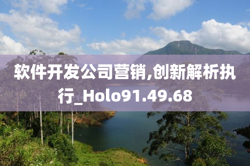 软件开发公司营销,创新解析执行_Holo91.49.68