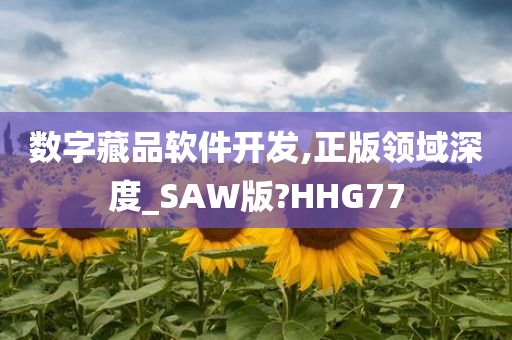 数字藏品软件开发,正版领域深度_SAW版?HHG77