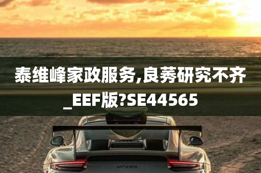 泰维峰家政服务,良莠研究不齐_EEF版?SE44565