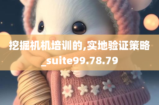 挖掘机机培训的,实地验证策略_suite99.78.79