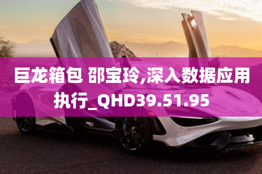 巨龙箱包 邵宝玲,深入数据应用执行_QHD39.51.95