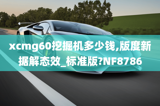 xcmg60挖掘机多少钱,版度新据解态效_标准版?NF8786