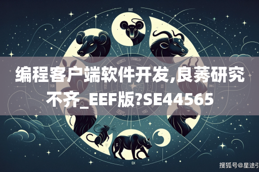 编程客户端软件开发,良莠研究不齐_EEF版?SE44565