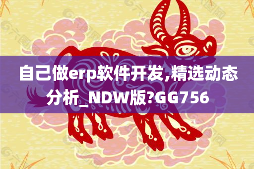 自己做erp软件开发,精选动态分析_NDW版?GG756