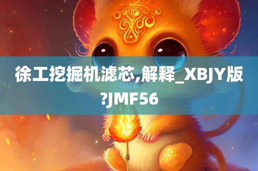 徐工挖掘机滤芯,解释_XBJY版?JMF56