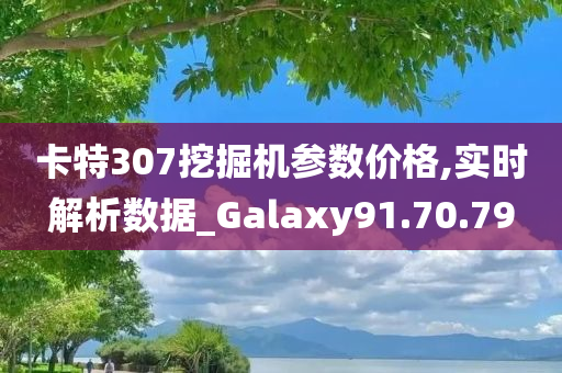 卡特307挖掘机参数价格,实时解析数据_Galaxy91.70.79